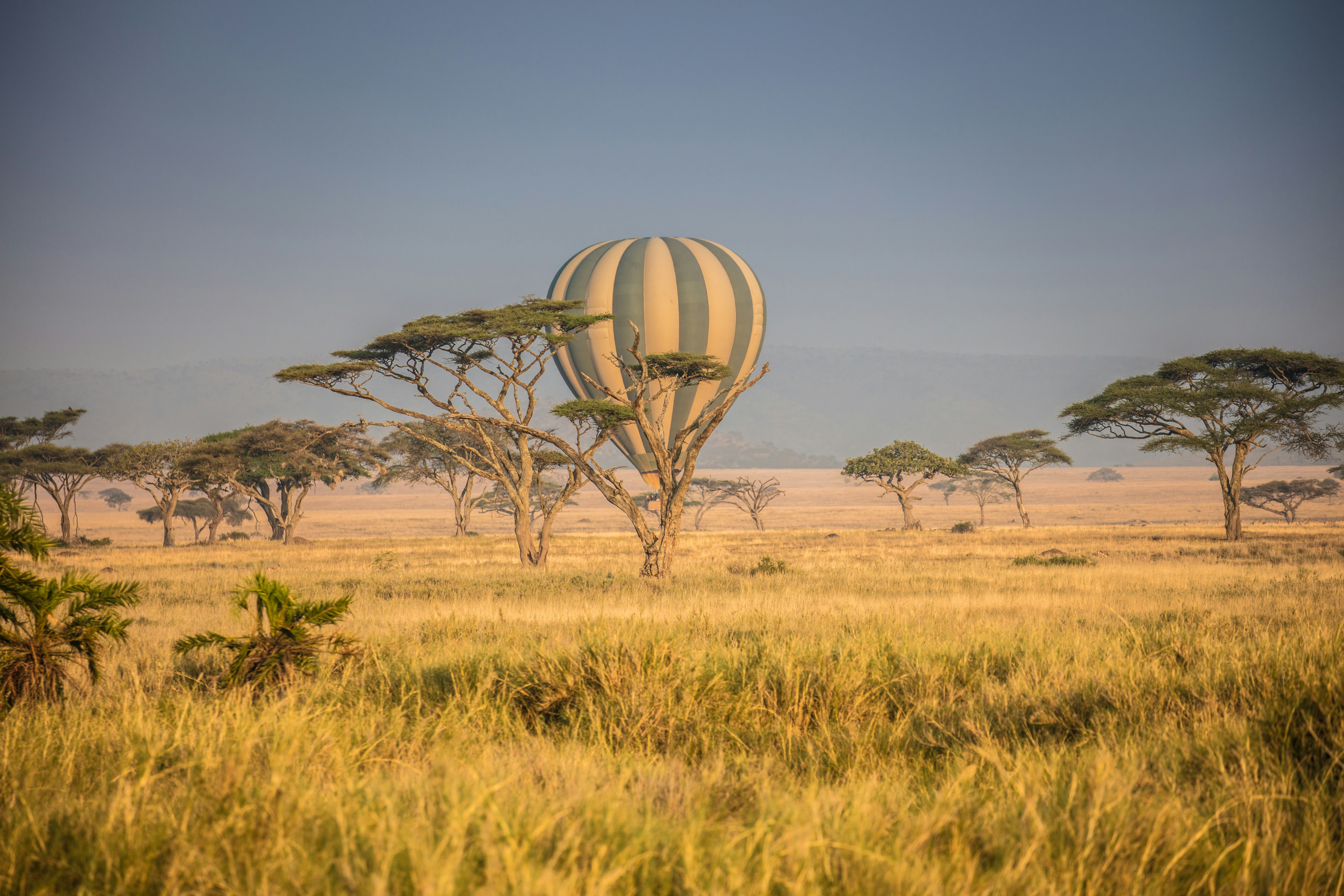Balloon Safaris